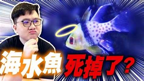 魚死掉|3种方法来判断鱼死没死